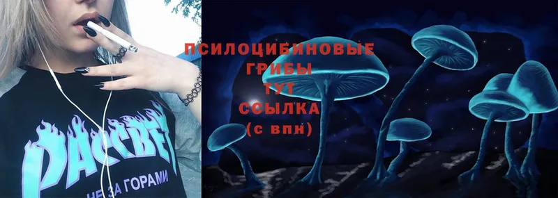 Псилоцибиновые грибы Psilocybe  Задонск 